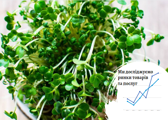 Рынок микрозелени и зелени в Украине: выращиваем только половину необходимого